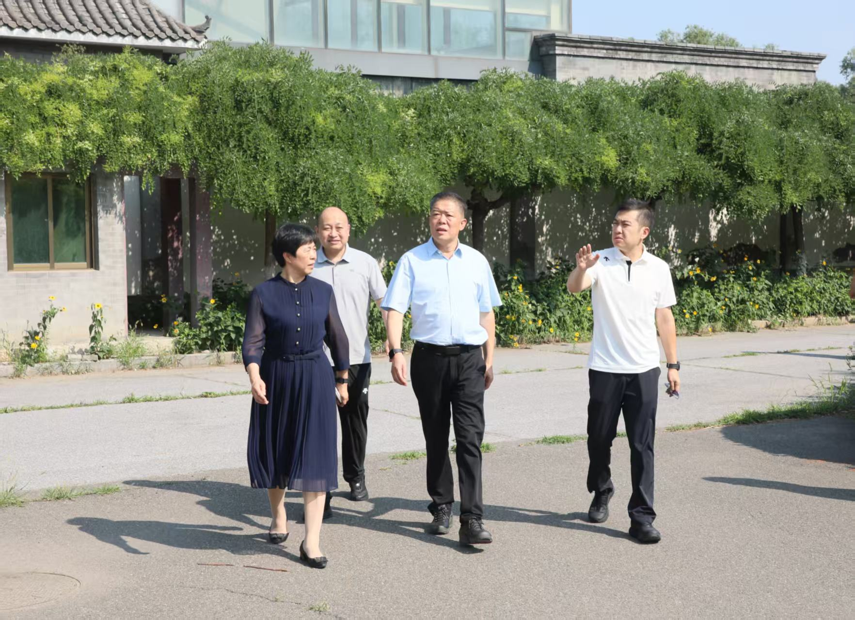 图片1 图片1
