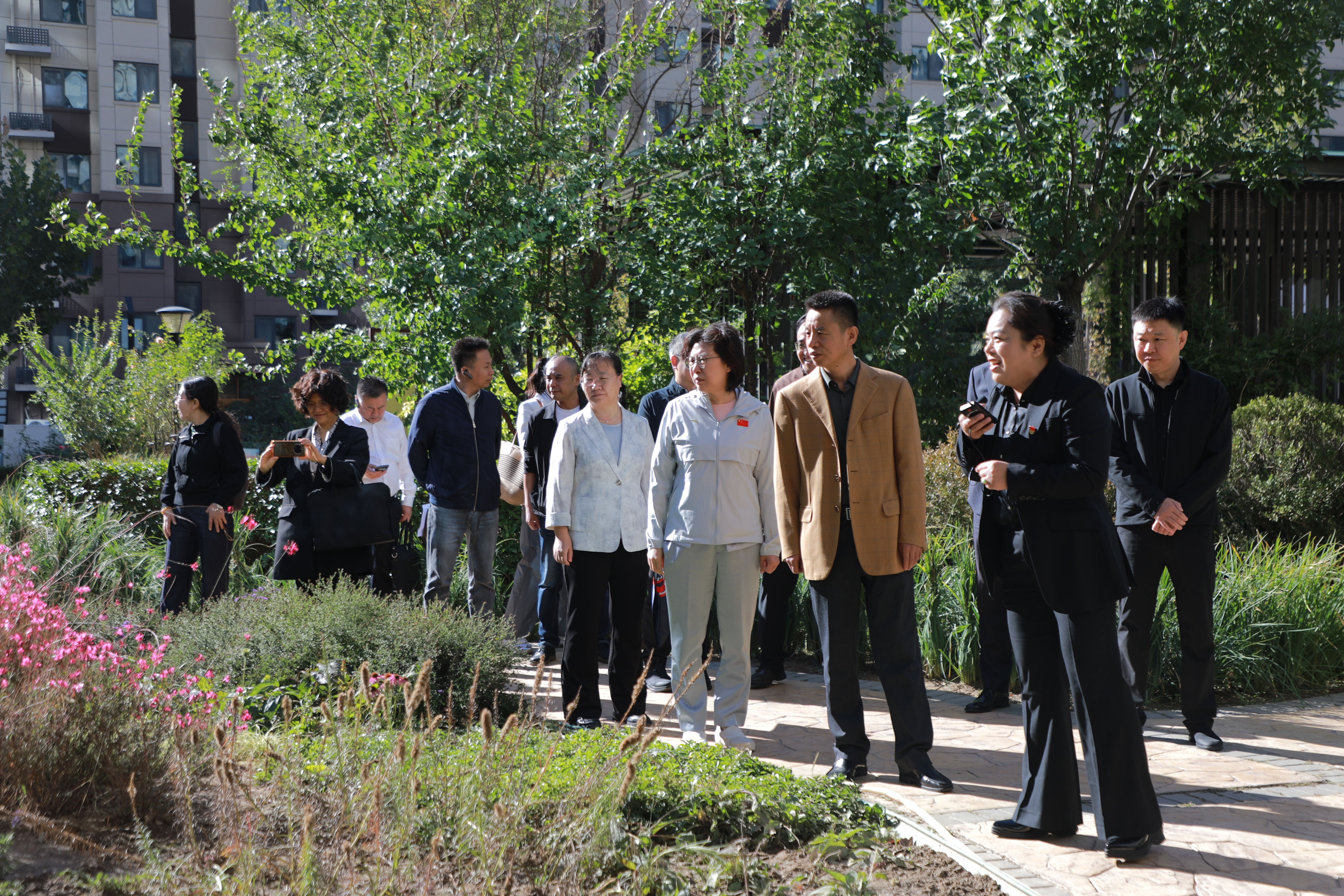 图片1_副本